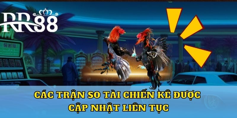 Các trận so tài chiến kê được cập nhật liên tục