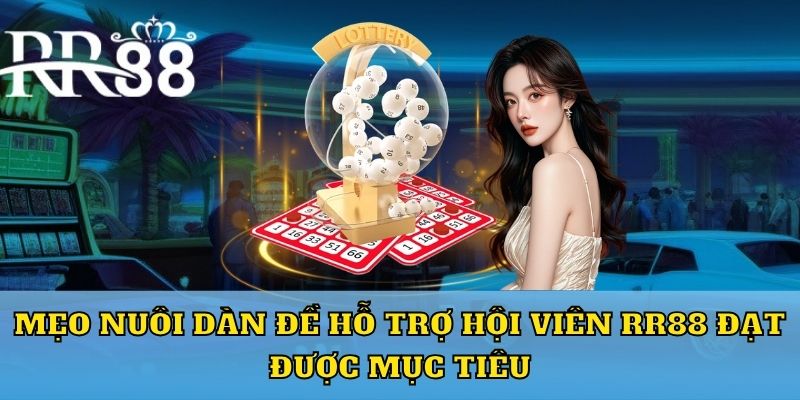 Mẹo nuôi dàn đề hỗ trợ hội viên RR88 đạt được mục tiêu